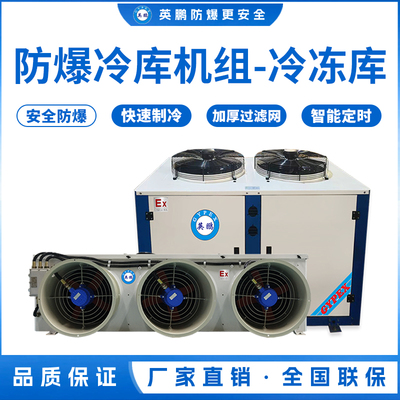 防爆冷库机组-冷冻库12匹