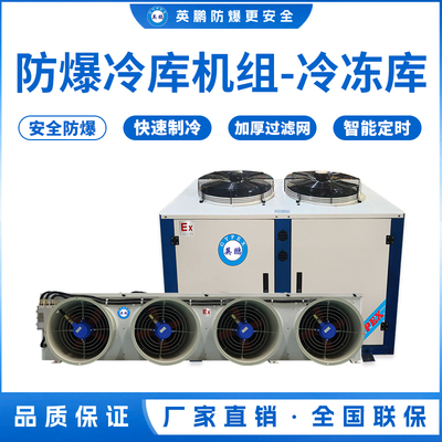 防爆冷库机组-冷冻库20匹