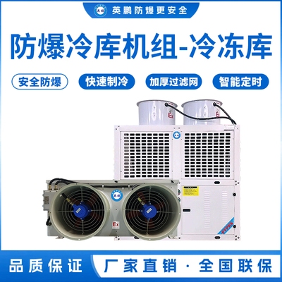 防爆冷库机组-冷冻库10匹
