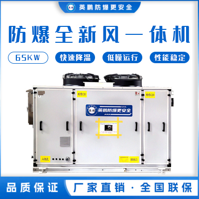 防爆全新风一体机-65KW