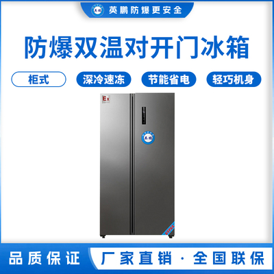 对开门防爆冰箱600升