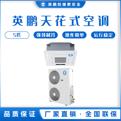 英鹏空调吊顶装 5匹 KFR-12T