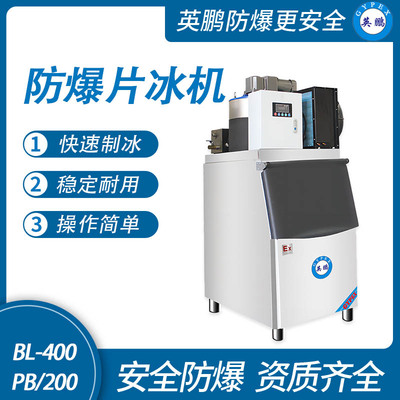 防爆分体式片冰机-200