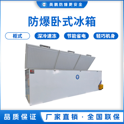 卧式防爆冰箱2400L