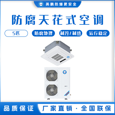 英鹏发电站行业用防腐空调-天花式 FKG-12FT/5匹