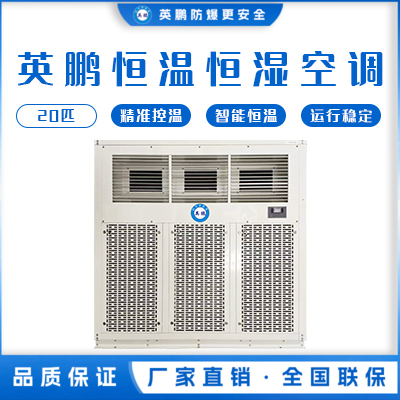 英鹏恒温恒湿机-立柜式20匹