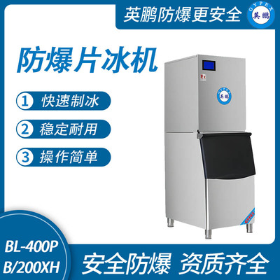 防爆分体式片冰机-200XH