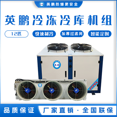 英鹏冷库机组-冷冻库12匹