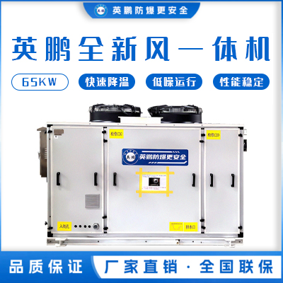 英鹏全新风一体机-65KW