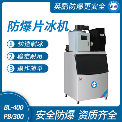 防爆分体式片冰机-300