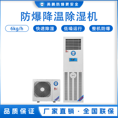 防爆立柜式降温除湿机6KG