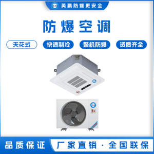 英鹏防爆空调吊顶装 2匹 BFKT-5.0T