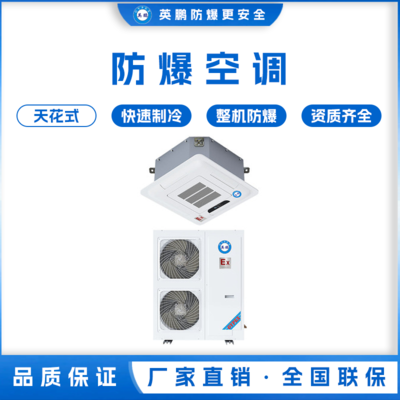英鹏防爆空调吊顶装 5匹 BFKG-12T